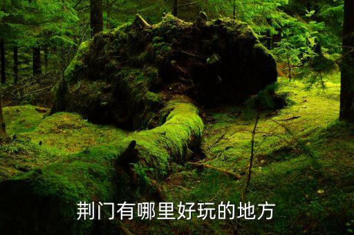 荊門旅游街區有哪些地方，荊門中天街都有些好玩的地方...
